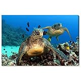 The Oliver Gal Artist Co. Animals Wall Art Canvas Prints 'Two Sea Turtle by David Fleetham' Home...