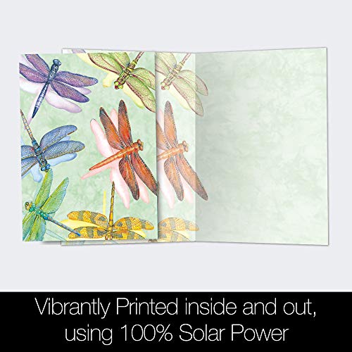 Tree-Free Greetings EcoNotes 12 Count Dragonflies All Occasion Notecard Set with Envelopes, 4 x 6 Inches (FS66500) - Thumbnail 3