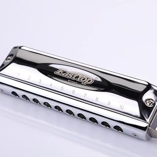 Harmonica Harmonica coloré 10 trous harpe clavier d'orgue C ABS Comb argent instrument professionnel – Image 2
