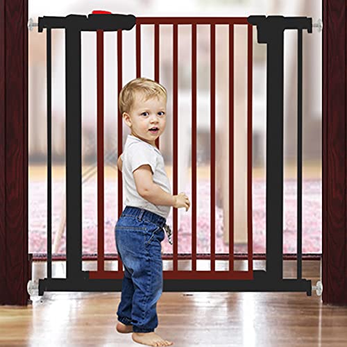 ybgpxr[T[N SQ[g ؐybgpSQ[g ZLeBQ[g I[gN[Y^Q[g KiQ[g یtFX Ki肷q/179-188Cm