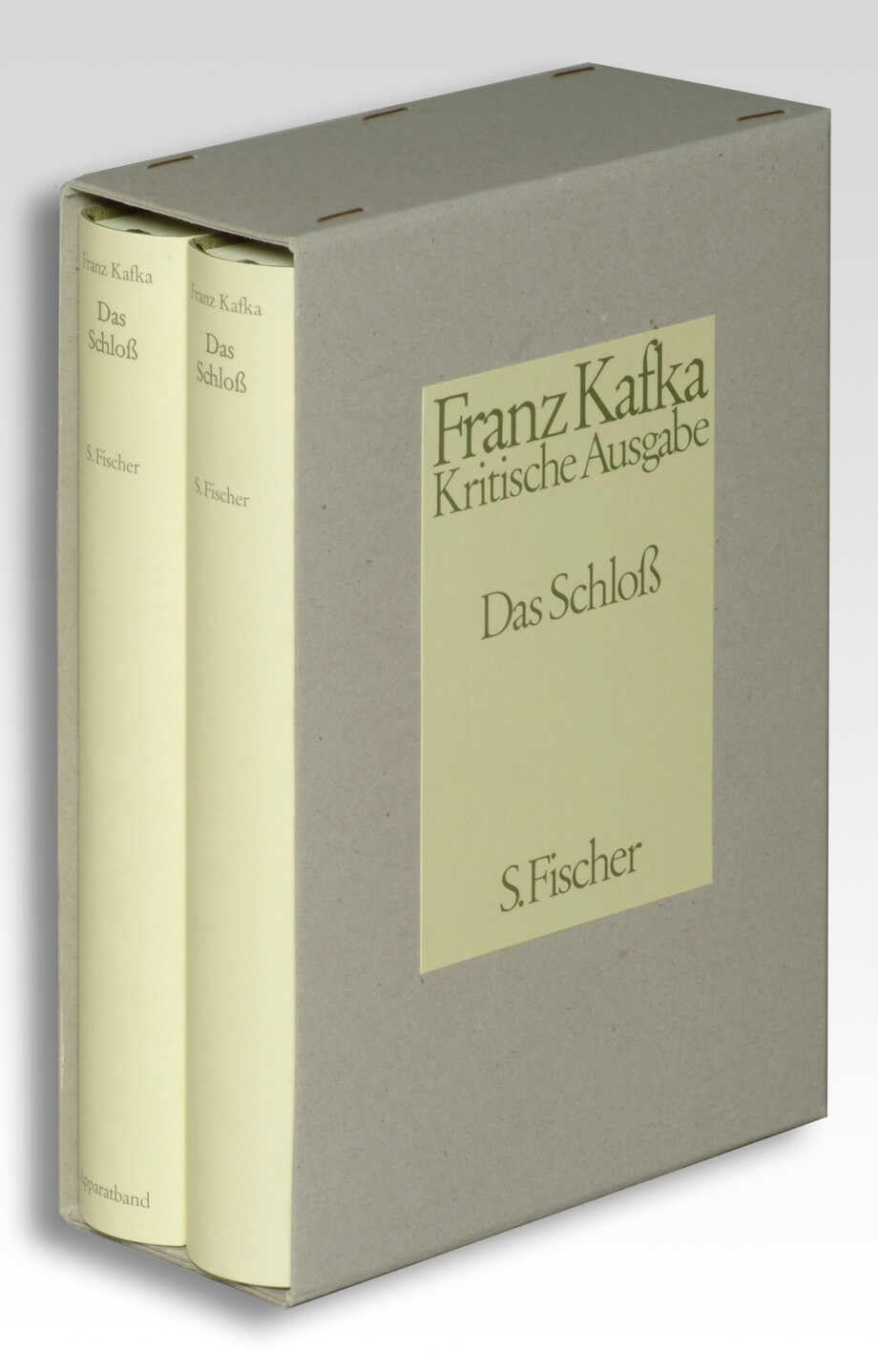 Das Schloß: Roman (Franz Kafka, Gesammelte Werke in der Fassung der Handschrift (Taschenbuchausgabe))