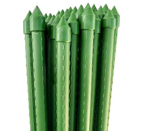 |x 20mm×150cm 25{ Zbg C{| _Ǝ  K[fjO CSP-20-150-SET