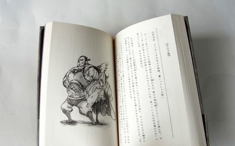 Amazon.co.jp: 【初版帯付】ブレイブリーデフォルトRの手帳 全2巻