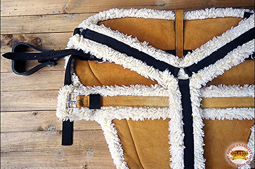 Hilason Western Draft Size Bareback Pad, Breast Collar & Girth #TOP3