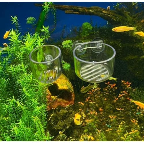 Image of 2Pcs Transparent Acrylic Aquatic Plant Cups with Suction - Aquarium Decoration 2 Shapes for Fish Tank Ornament