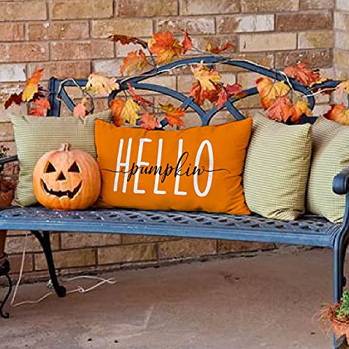 Fall Pillow Covers 12X20,Hello Pumpkin Autumn Throw Pillow Cover Decorations Pillow Covers Outdoor Fall Pillows Decorative For Fall Home Decor #TOP1