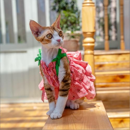 Robe pour chat Sphynx Devon Rex vêtement coton respirant M+ - 5