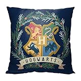 Northwest Harry Potter Pillow, 18' x 18', Hogwarts Wreath