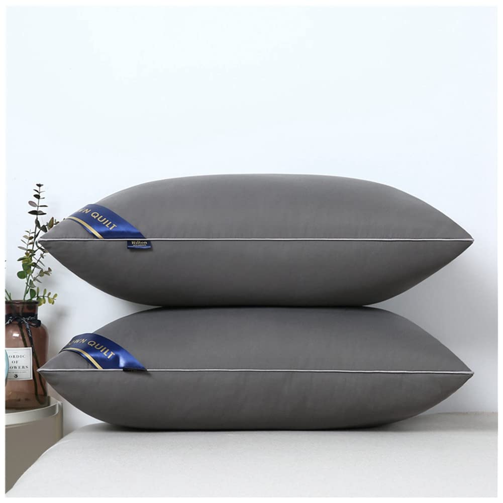 Oreiller 48x74 Lot de 2 de Lit Rectangulaire Gris 700g MISSMAO