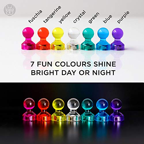 Colorful Push Pin Magnets |56 Pc| Fun Magnetic Push Pins Used For Office Magnets, Whiteboard Magnet, Refrigerator Magnets, Classroom Magnets, Calendar Magnets, Map Magnets & Pictures #TOP2