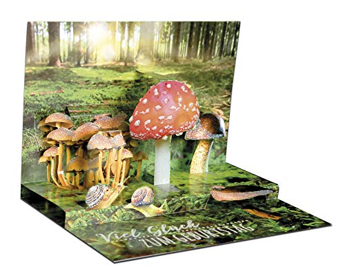 KE - 3D Pop-Up Glückwunsch-Karte zum Geburtstag, mit Umschlag...