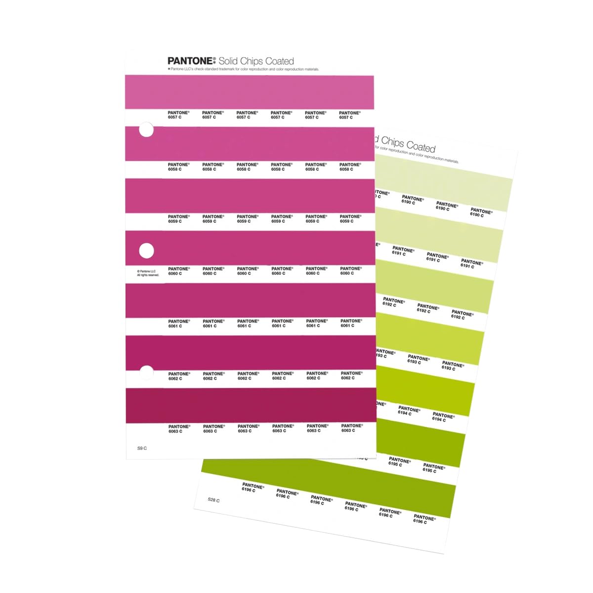 Amazon.co.jp: ※ ソリッドチップス・新色補充版(コート紙、上質