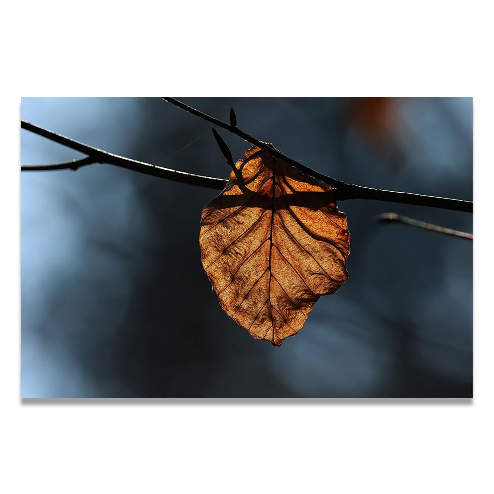 VHdfgTY WitheredMountain Landscape Wall Art Canvas Print Nature Scenery for Living Room 70x105cm Unframed