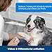 PetSafe Teach und Treat Ferngesteuerter Belohnungstrainer für Hunde, Training und Positive Verstärkung, 4 D Batterien nötig, Grau.