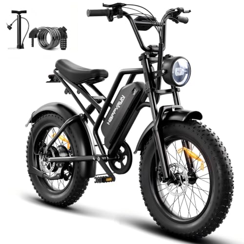 HAPPYRUN 750W Electric Bike