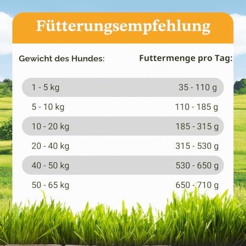 Bellfor Freiland-Schmaus Monoprotein Trockenfutter mit Huhn Getreidefrei Optimal für ernährungssensible Hunde Hoher Anteil an Omega-3-Fettsäuren 6,0 kg.