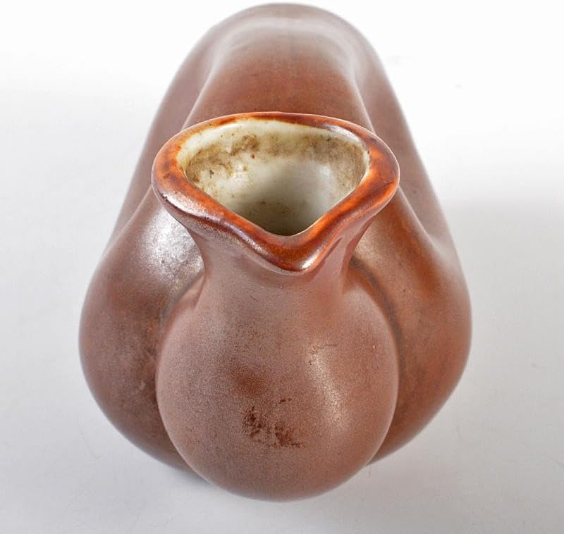 富山県　小杉焼　柿釉　酒器　鴨徳利　M　R5357 富山県 小杉焼 柿釉 酒器 鴨徳利 M R5357 高さ約8．