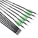 Archery Bow Carbon Arrow Hunting Target Practice Arrows 26 Inch with Removable Tips for Compound & Recurve Bow Spine 500 12PCS Pack