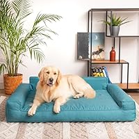 PillowPrim Hondenbed, huisdierenmatras, kattenbed, hondenkussen, hondenmand, hondenbank, ligplaats voor hond, orthopedisch, meubels, 55 x 40 cm, antraciet