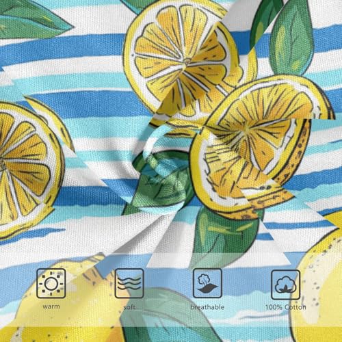 Wusikd Lemons Lemon Slices Boys' Underwear Cotton Blue Stripe Boys Briefs Soft Toddler Underwear 2T3