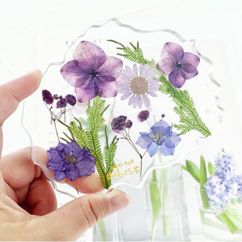 36 piezas de flores secas prensadas para manualidades y decoración miniatura 5