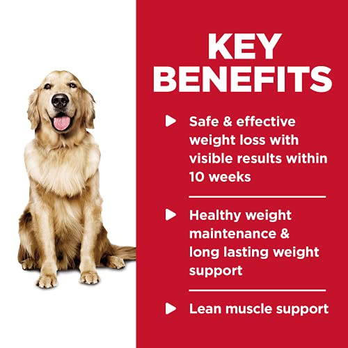 Hill's Science Diet Wet Dog Food, Adult, Perfect Weight for Weight Management, Hearty Vegetable & Chicken Stew Recipe… - Image 7