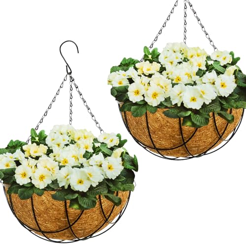 Shady Basket Beauties The Best Plants for Shade Hanging Baskets