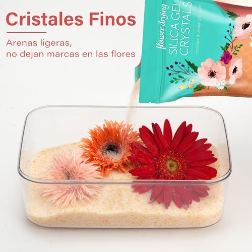 Miniatura 2 de Lotfancy Gel De Sílice Para Secar Flores, Reutilizable, 1,13 Kg 2,5 Lbs