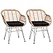 Lot de 2 chaises en Osier Bambou/polyrotin Max. 120kg Fauteuil de Jardin Vintage