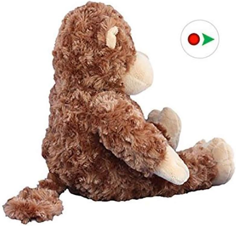 Record Your Own Plush 16 inch Stuffed Monkey - Ready to Love in A Few Easy Steps