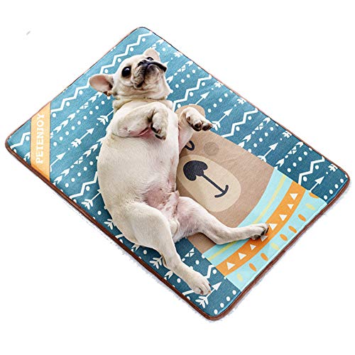 Youth Union Kühlmatte für Hunde Katzen Haustiere, Pet Selbstkhlendes Pad Cool Mat Hundematten, rutschfeste Waschbare Sommer Kühlkissen für Box Zwinger Bett (M, Cartoon-Bär) Cover