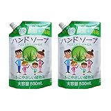 ハンドソープ 薬用ハンドソープ詰め替え用 大容量500mL 2個セット 通常タイプ