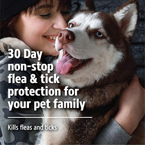 Hartz UltraGuard Dual Action Topical Flea & Tick Treatment for Dogs and Puppies - 15-30lbs, 3 Monthly Treatments - Image 5