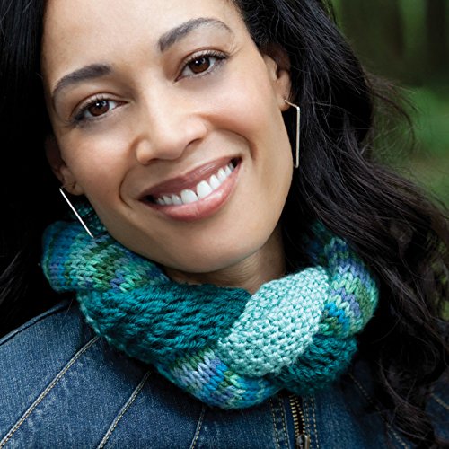 Image of Caron Simply Soft Collection Yarn, 6oz, Gauge 4 Medium, 100% Acrylic- Pagoda - Machine Wash & Dry (H97COL-14)