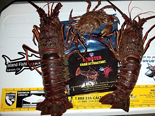 BITE-ON Lobster ATTRACTANT Bait CAGE PRE-Soaked Pads