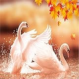 [ DECORACIÓN PERSONALIZADA Y MEJOR REGALO ]: la pintura con diamantes puede ayudarlo a hacer que sus habitaciones se vuelvan vivificantes. La pintura de diamante 5D también es la mejor opción para enviar a su familia y amigos como regalo para expresar sus mejores deseos.
