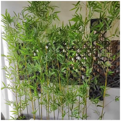 SQXLXDD Artificial Bamboo Wall, Patio Faux Bamboo Leaves Privacy Fence Wall Home Decor Indoor Room...
