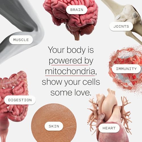 Image of Timeline Mitopure Urolithin A Supplement Powder 500 MG- Clinically Proven Support for Healthy Aging and Cellular Renewal - Mitoceutical for Muscle Support and Longevity