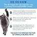 CATWATER by VETWATER | ph-Balanced and Mineral-Free Cat Water | Clinically Proven Urinary Formula | Helps Prevent Cat Urinary Issues, FLUTD | 135.2 oz, 2-Pk, Clear (CW60101-2)
