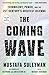 The Coming Wave: Technology, Power, and the Twenty-first Century's Greatest Dilemma