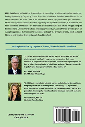 Healing Depression by Degrees of Fitness: the Brain Health Guidebook