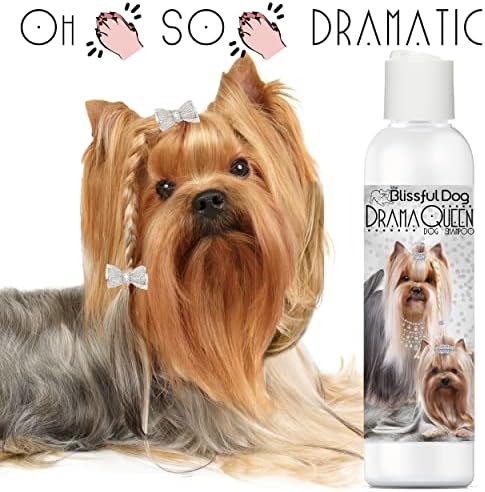 The Blissful Dog Drama Queen Luxury Dog Shampoo - Yorkshire Terrier, Nourishing Pet Supplies, Dog Grooming Supplies for Soft, Silky, Shiny Coat, Moisturizing Puppy Shampoo, 8 oz.