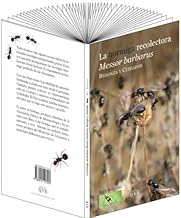 La hormiga recolectora Messor Barbarus: biología y cuidados