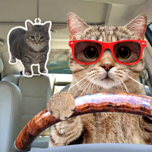 Image of 6Pcs Funny Car Air Freshener for Women Girls Men Cute Freshener Ornaments Cat Meme Funny Personalized Car Hanging Accessories Cat Car Accessories