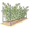 Amazon.com: Gardener's Supply Company - Raised Garden Bed, Raspberry ...