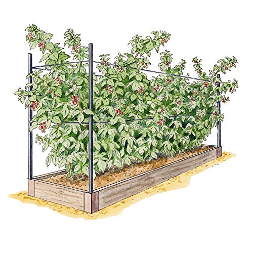 Gardener's Supply Company - Raised Garden Bed, Raspberry Bed Kit