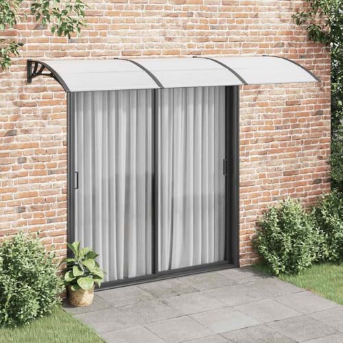 vidaXL T&uuml;rvordach, Vordach f&uuml;r Haust&uuml;r 300x100cm, Haust&uuml;r &Uuml;berdachung Haust&uuml;rvordach, Pultvordach Haust&uuml;rdach Pultbogenvordach, Schwarz Polycarbonat