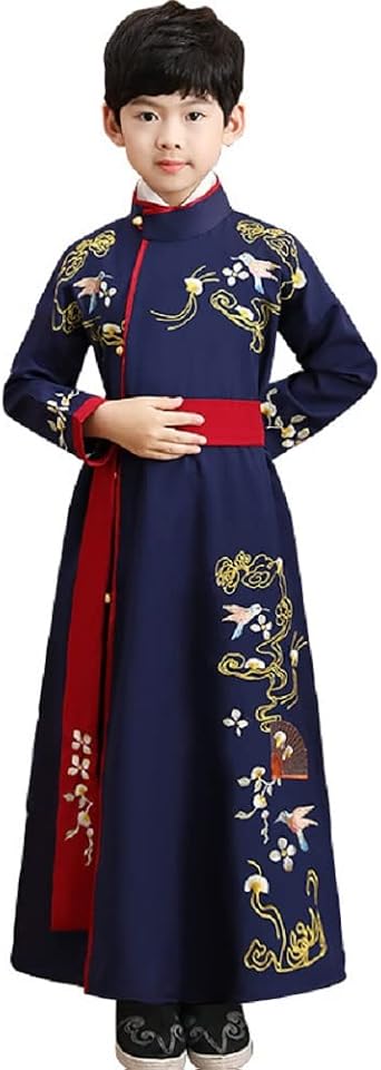 Boy Chiefs Robe Ancient China Official Robe Hanfu Kung Fu Performance Costume