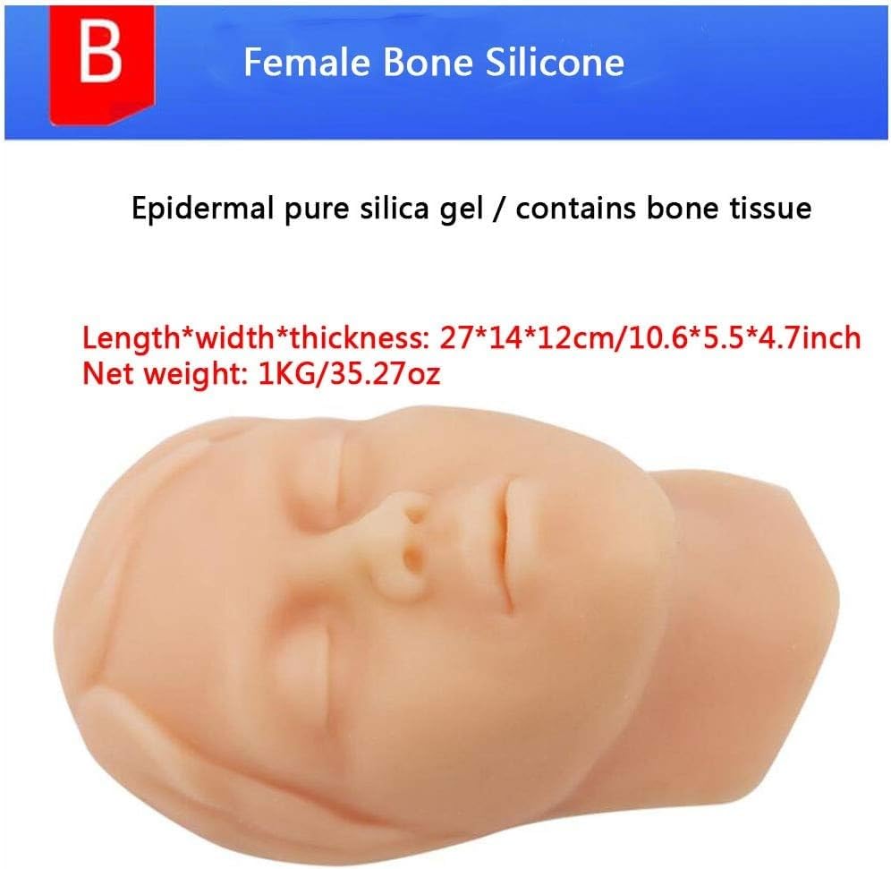 Modello di formazione dell'iniezione di silicone per infermieri e studenti di medicina, testa pratica realistica, forniture didattiche mediche