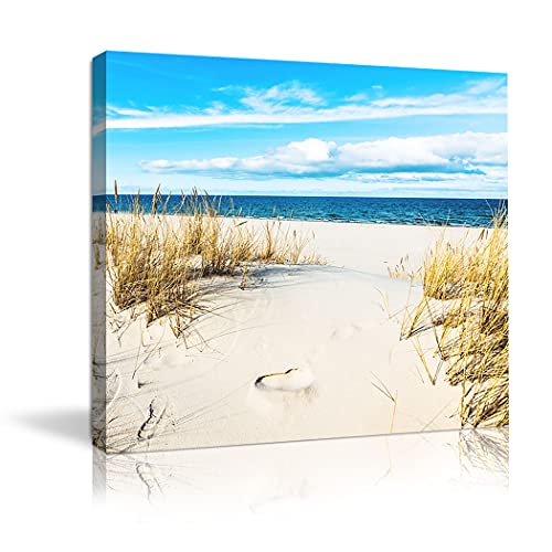 Beach Pictures Wall Art for Bathrooms Canvas Framed Seacoast Theme